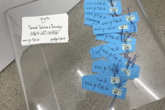 Expo Au fil de l'eau Fribourg, 09/2020