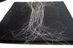 Capelli bianchi, 01/2007